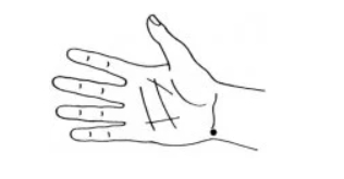 palpitatii