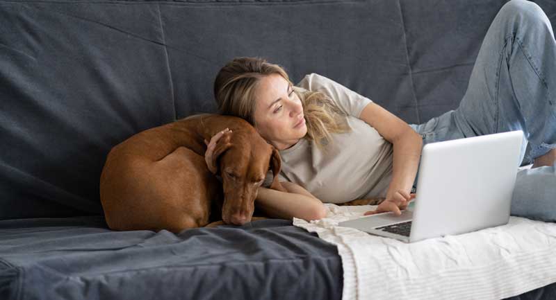 cat-de-periculoasa-este-lenea