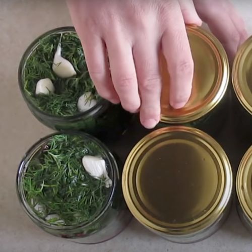 borcane cu botwinka conservată