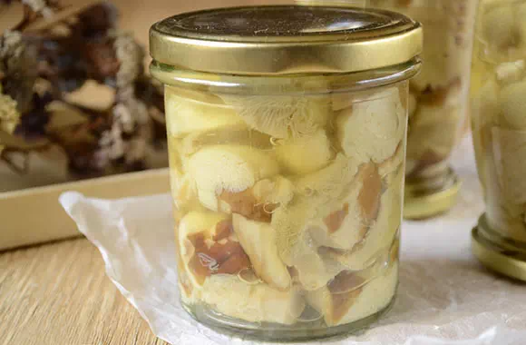 hribi pentru iarnă foto 7