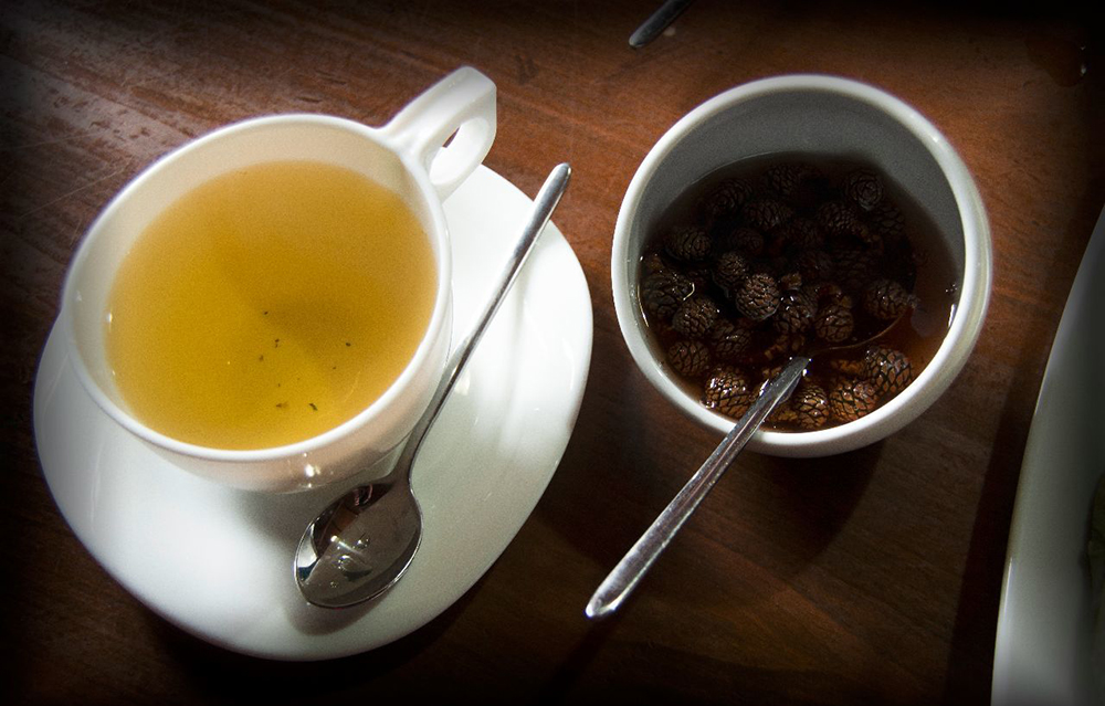 Gem din muguri de pin cu ceai