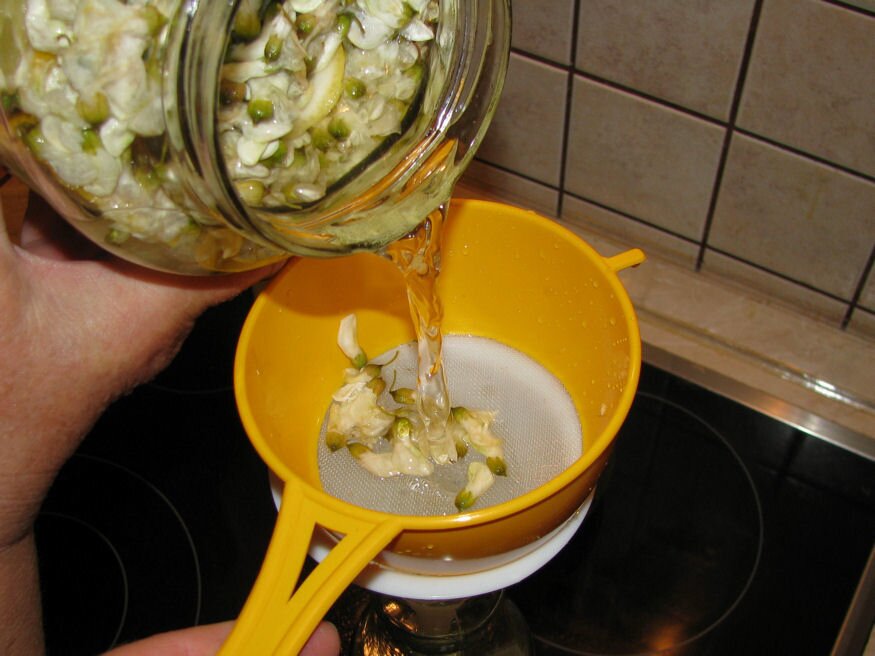 Am făcut un sirop de neuitat din flori de salcâm, cu aromă de lămâie
