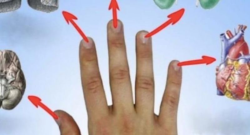 Fiecare degete reprezintă un organ. Iată cum le poți masa pentru a scăpa de durere