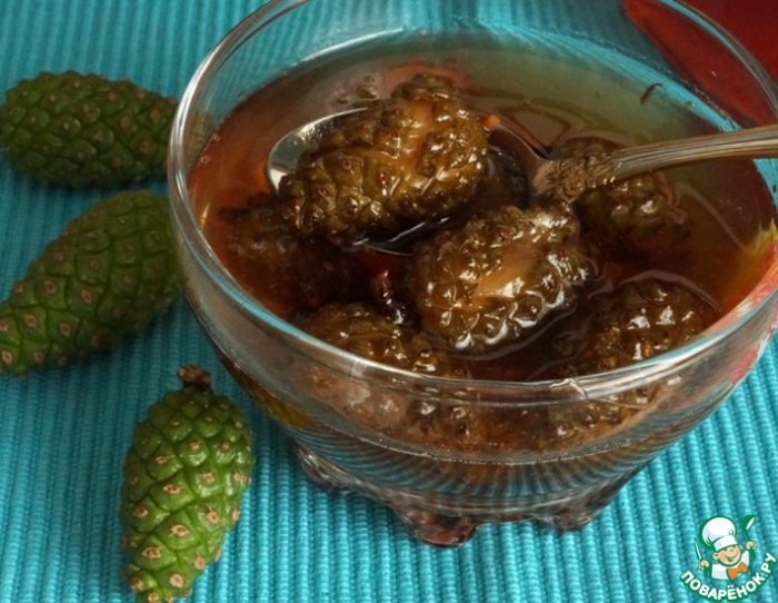 Dulceață aromată din conuri tinere de brad sau pin – rețetă clasică și gustoasă