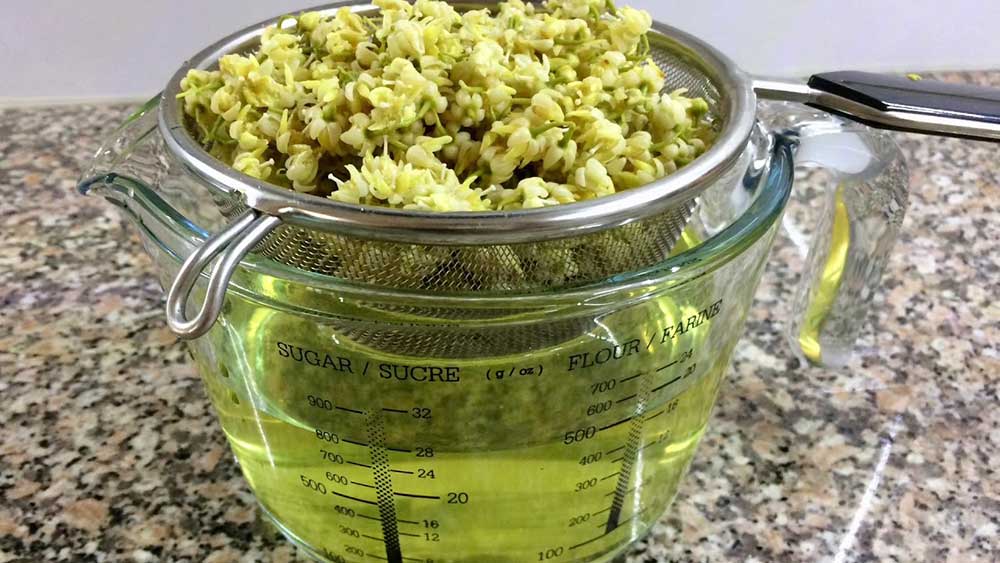 Insomnie? 10 plante pentru un somn linistit! Cum să adormi fără somnifere?