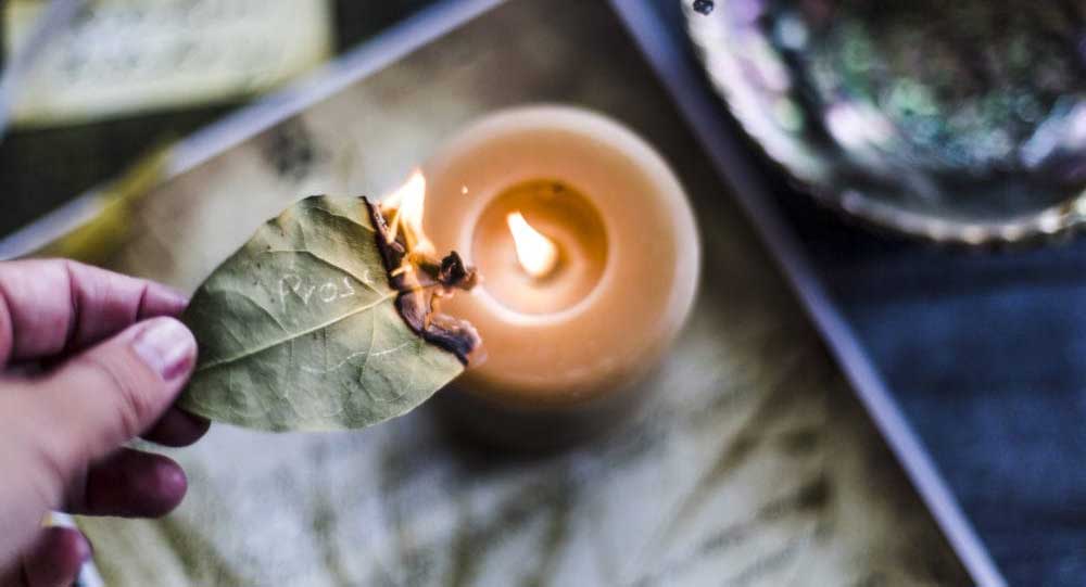 Aprinde o FRUNZĂ DE DAFIN - 10 minute. Este incredibil ce EFECTE TERAPEUTICE poate să aiba această plantă