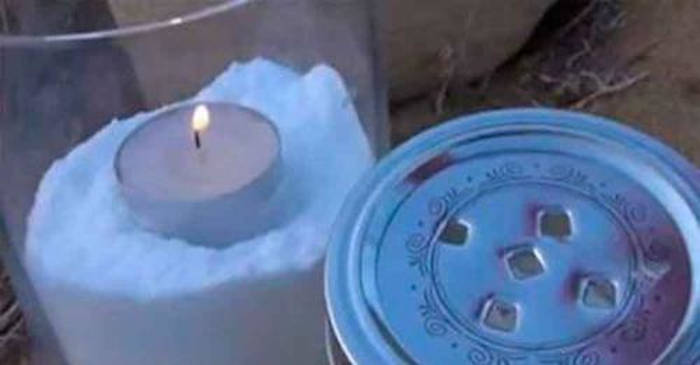 Elimină toți gândacii din casă