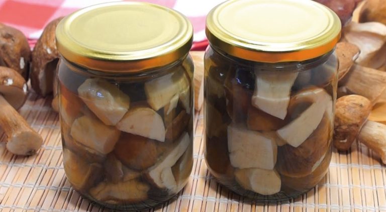 Hribi marinați pentru iarnă