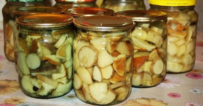 Hribi la borcan – așa îi păstrez eu pentru iarnă și sunt minunați