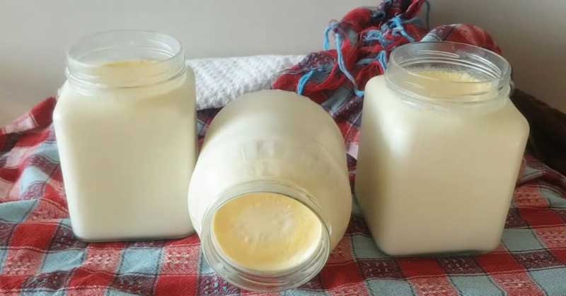 Iaurt de casă – cea mai bună rețetă. Doar 2 ingrediente!