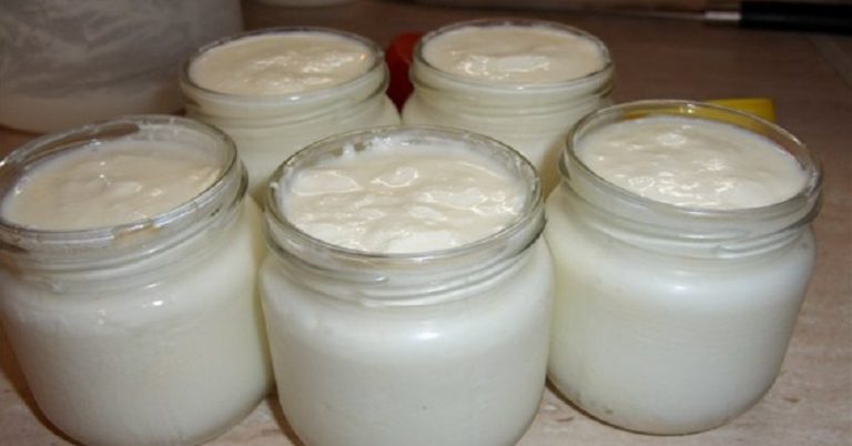 Iaurt natural de casă din 800 ml lapte si 2 linguri de smântână