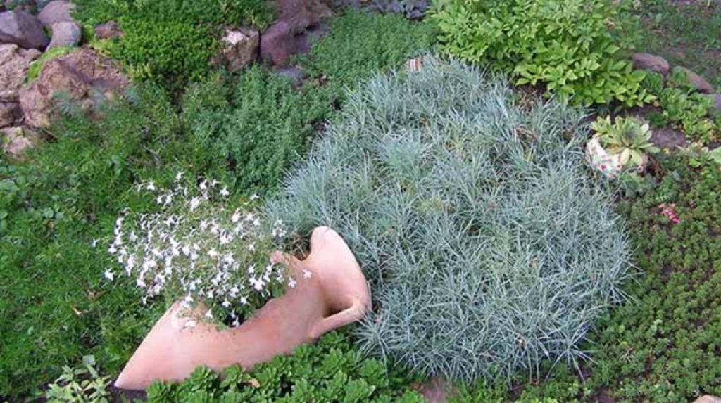 Idei minunate de paturi de flori - Se fac cu orice găsești prin casă