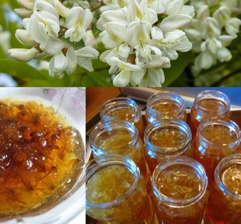 Dulceață din flori de salcâm: o rețetă veche dar bună