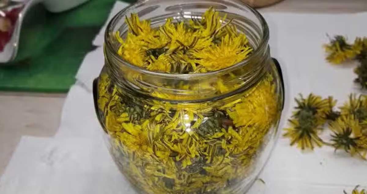 Infuzie de păpădie - Turnați oțet peste păpădie și depozitați într-un loc întunecat