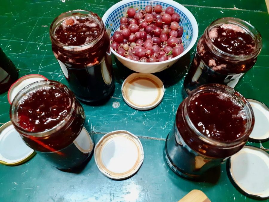 Dulceață de agrișe - Așa o fac mereu