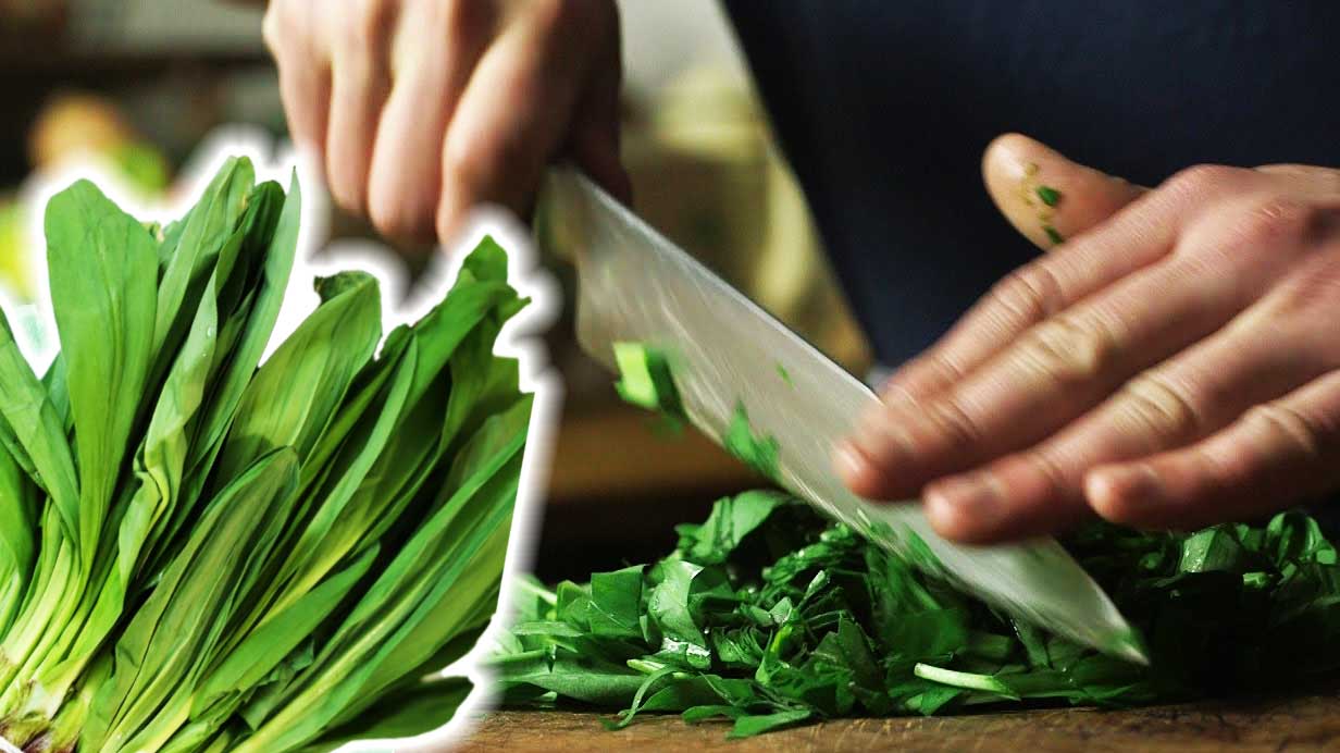 Salată de LEURDĂ - o rețetă simplă care ajută întregul organism