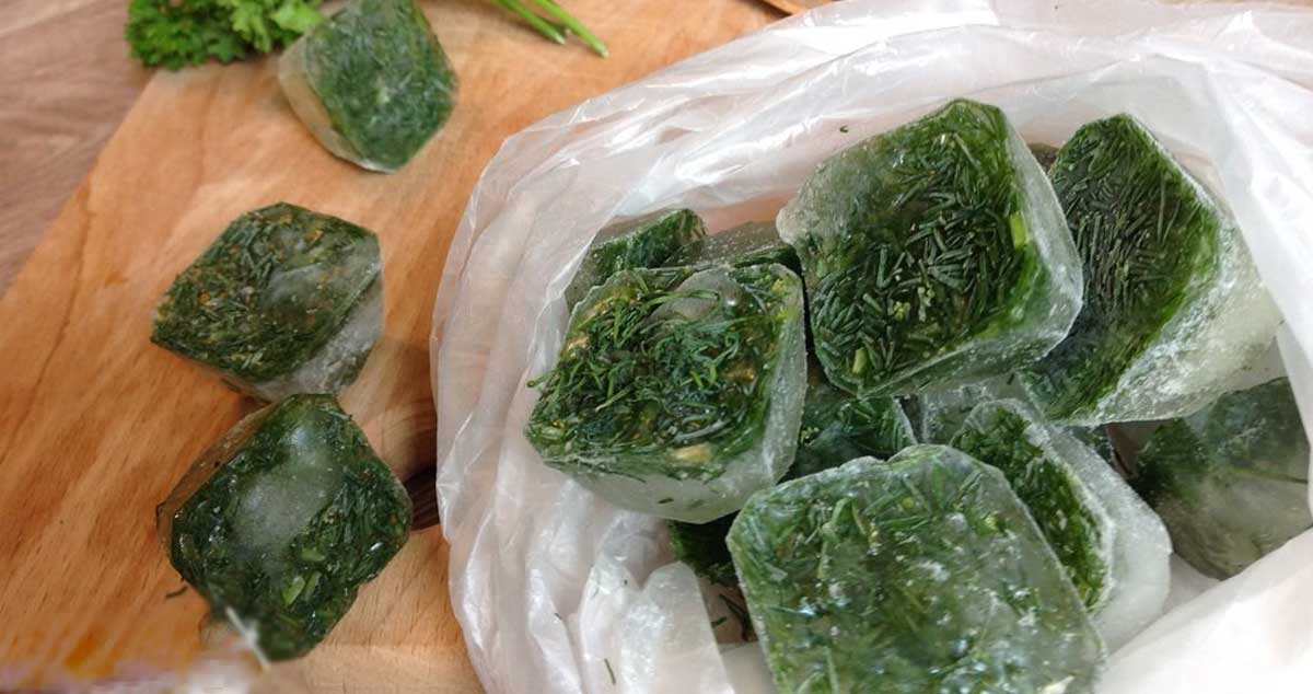 Mărar păstrat pentru pentru iarnă: la fel de aromat ca cel proaspăt