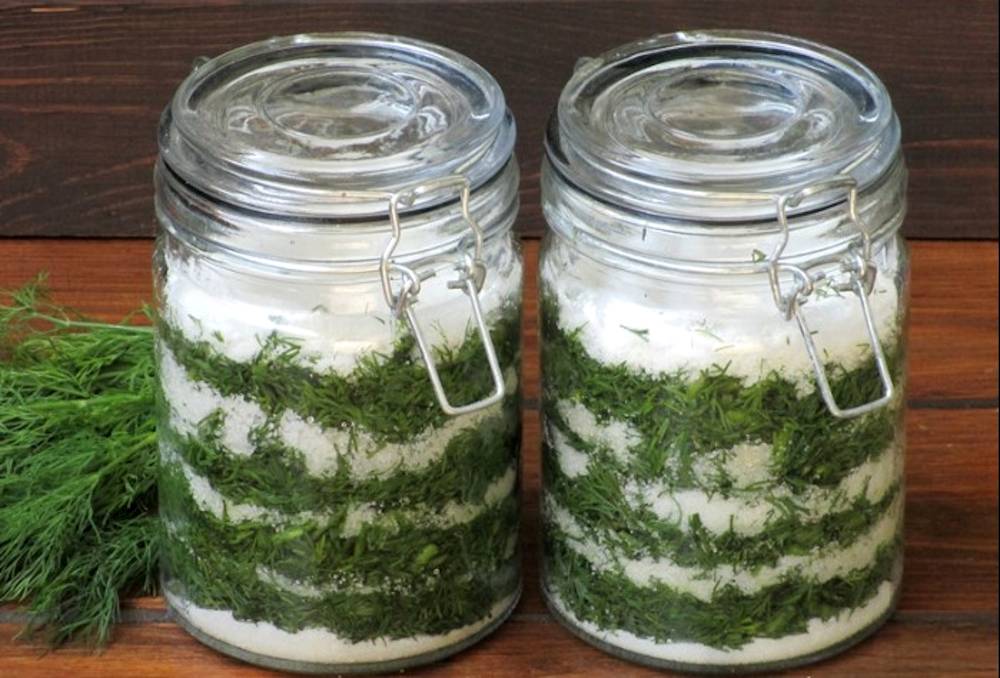 Cum să păstrezi mărarul proaspăt toată iarnă - iată ce trebuie să faci!