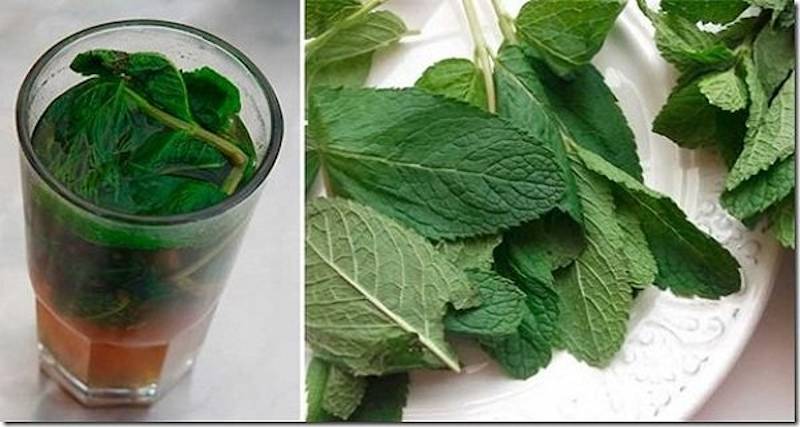 Cum poti sa-ti protejezi ficatul - Detoxifierea regulata a corpului