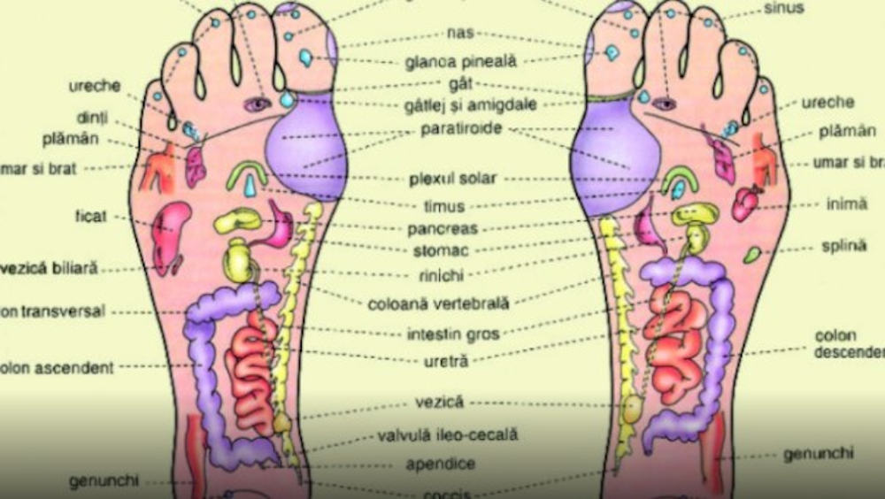Mersul desculț vindecă organele vitale. Vezi câtă viață se ascunde în tălpile tale
