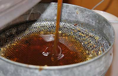 Miere de albine și cătină - Remediu pentru mai multe afecțiuni. Vezi aici