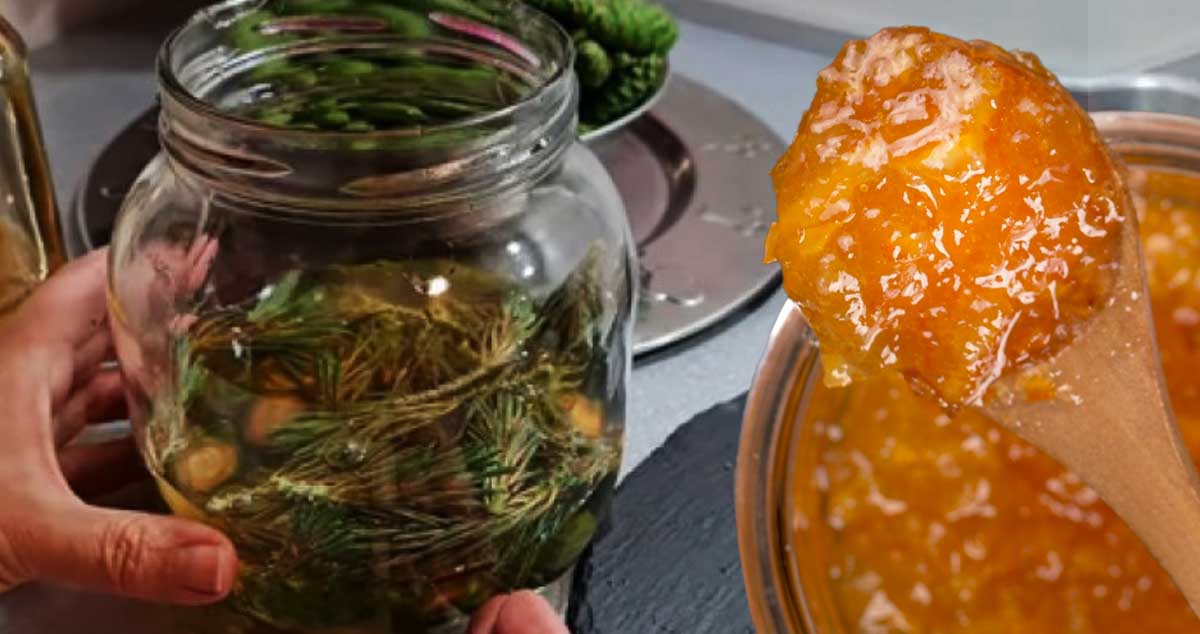 SIROP din MIERE cu MUGURI de BRAD - Un EXLIXIR pentru SĂNĂTATE.