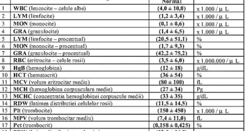 Descifrarea buletinului de analize medicale - Ghid Practic