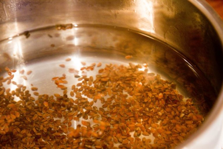 Semințele de In - Te ajută să slăbești și te scapă de multe boli