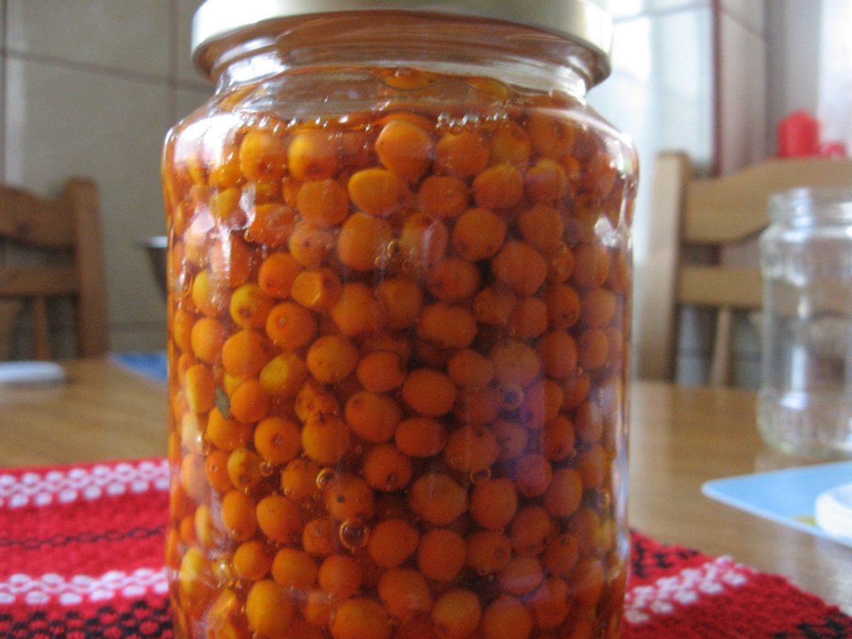 Mierea de albine cu cătină - Un remediu care te vindecă de nenumărate boli