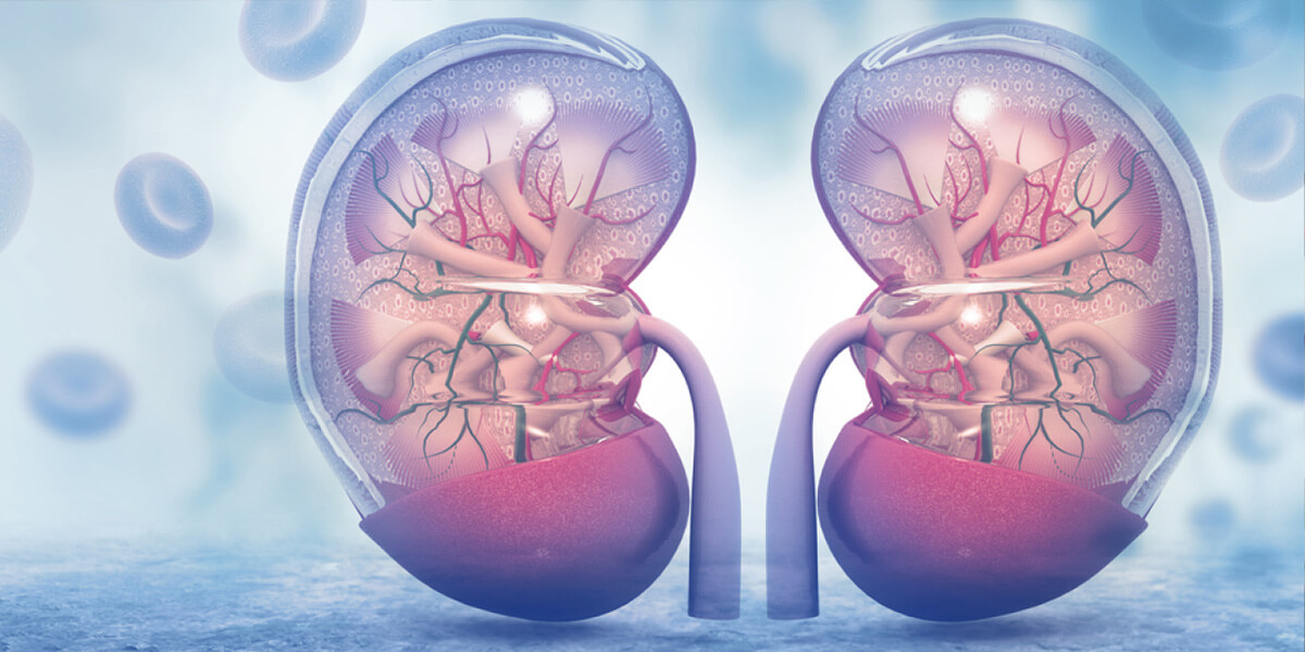 Ceaiul care ajută la dizolvarea pietrelor de la rinichi - Iată cum se face și cum se consumă