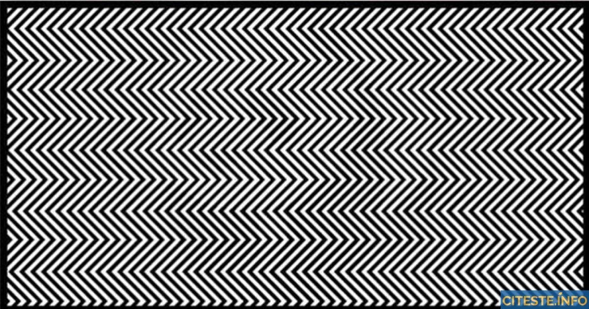 Poți vedea animalul din imagine? Studiile spun că doar 1% din oameni îl pot vedea!