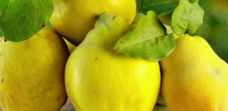 Ceai de gutui - Protejează stomacu și pancreasul și ajută la refacerea celulelor ficatului