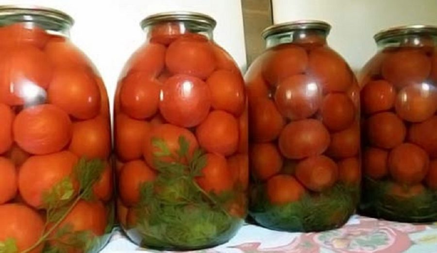 Roșii marinate cu frunze de morcov - Cel mai gustos mod de păstrare a roșiilor