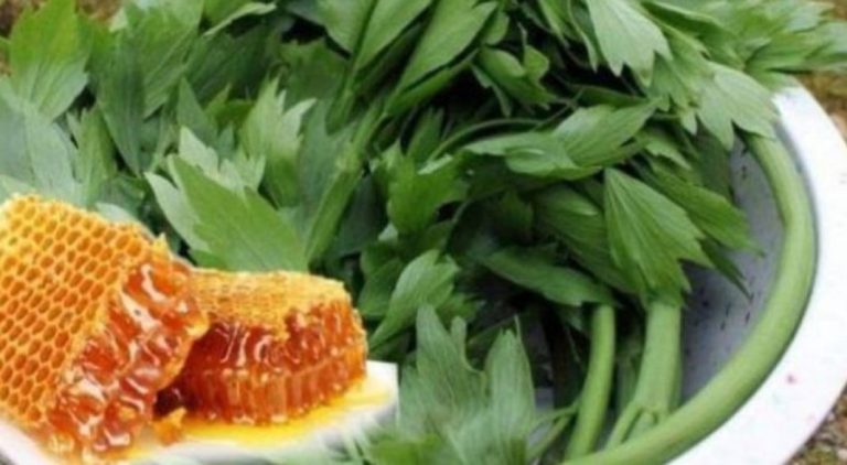 Leușteanul cu miere