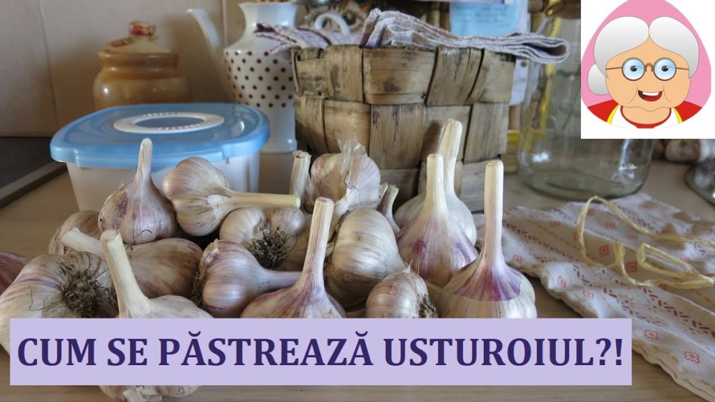 Așa puteți păstra usturoiul proaspăt pentru mai mult timp - Iată cea mai bună metodă