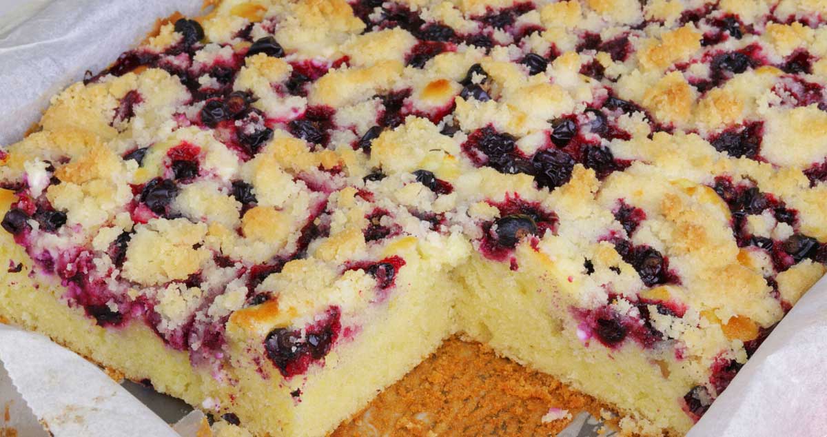 Prăjitură pufoasă cu coacăze negre – o puteți pregăti cu orice tip de fructe