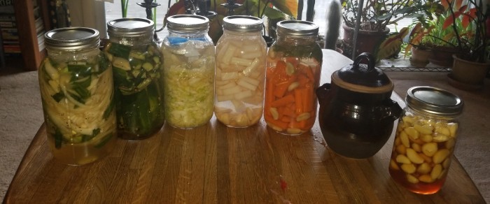 Scapă rapid de stres și anxietate cu ajutorul probioticelor naturale - Iată cum te ajută acestea