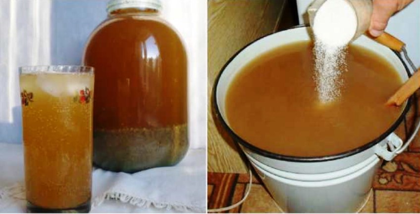 Cel mai bun cvas de casă