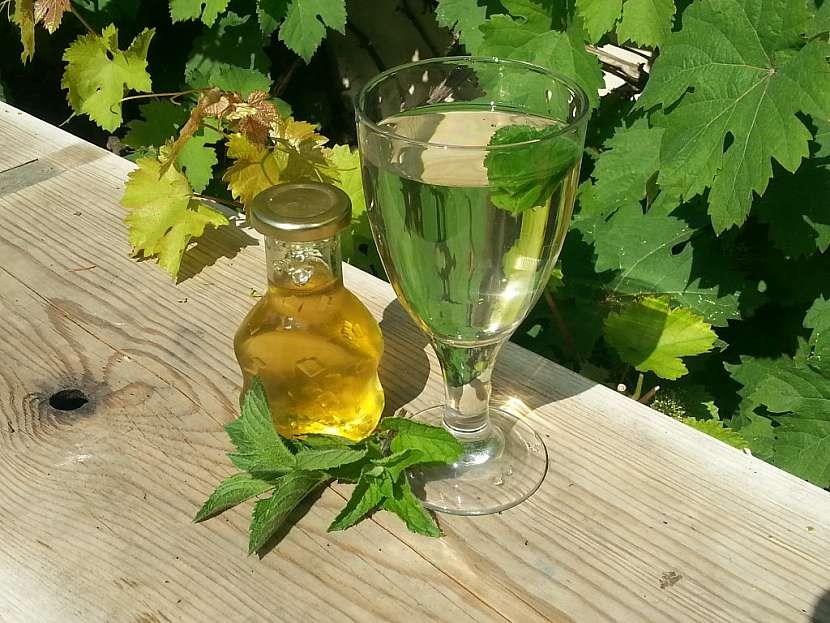 Sirop natural din mentă: mama mea îl face mereu așa și iese foarte bun