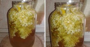 Socată delicioasă cu lămâie și zahăr caramelizat – Poate fi savurată și a doua zi