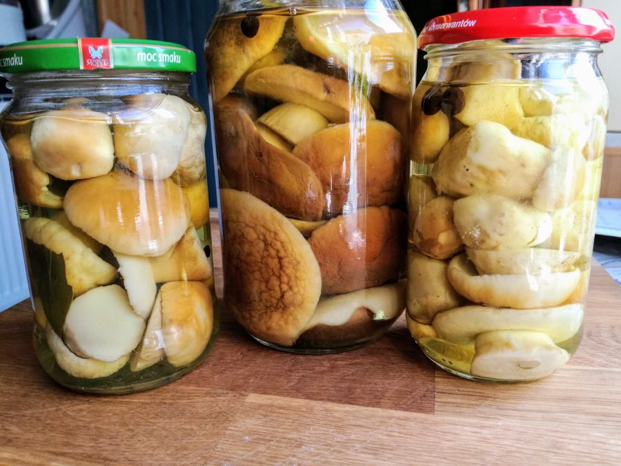 Hribi la borcan – rețeta socrilor mei