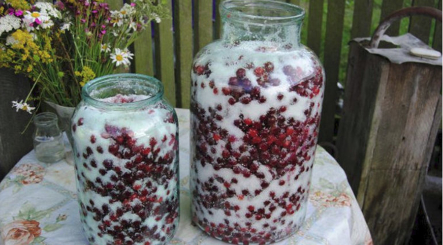 Vișinata de casă - Rețetă simplă pentru pasionații de spirtoase dulci