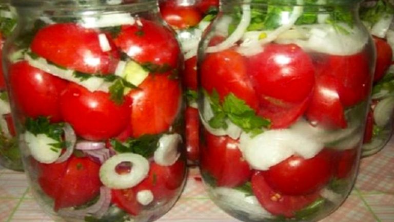 Roșii murate. Sunt suculente și au un gust delicios. Întreaga familie le va iubi.