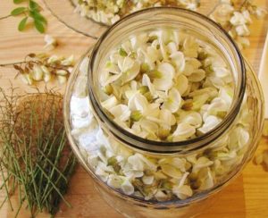 Salcâmata – băutura naturală din flori de salcâm. Un adevărat deliciu!