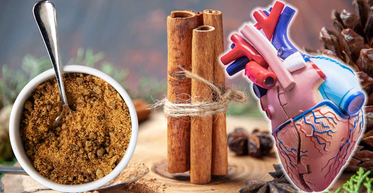 8 motive să consumi SCORȚIȘOARĂ. Puternic împotriva Helicobacter Pylori