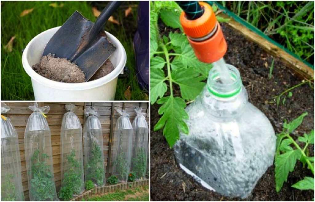 Sfaturi practice pentru sezonul de grădinărit - Dacă ești pasionat de grădinărit trebuie să le știi. Îți vor face viața mai ușoară!