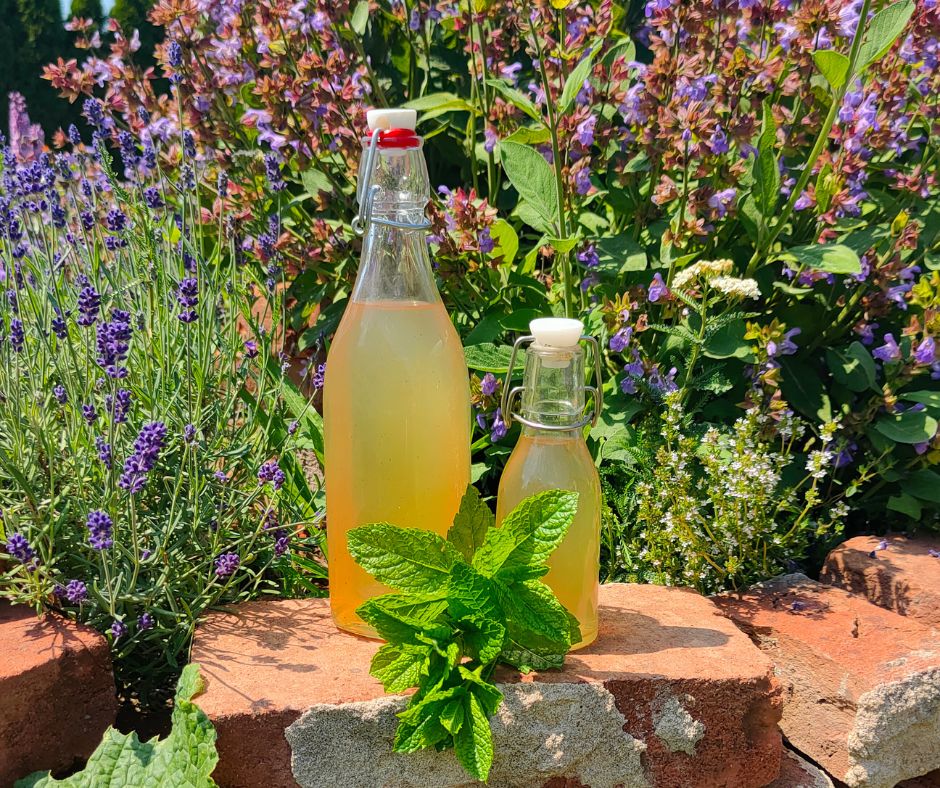 Două rețete pentru sirop de mentă făcut în casă