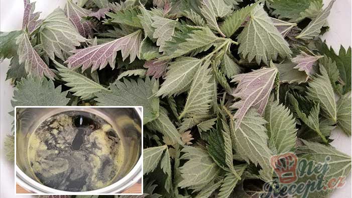 Beneficiile siropului de urzici cu miere - când și cum se prepară? Este bun pentru...