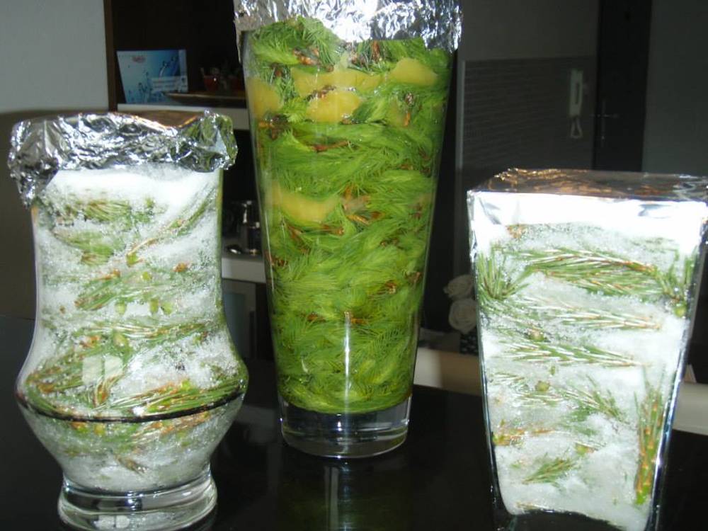 Sirop sănătos și gustos din muguri de pin