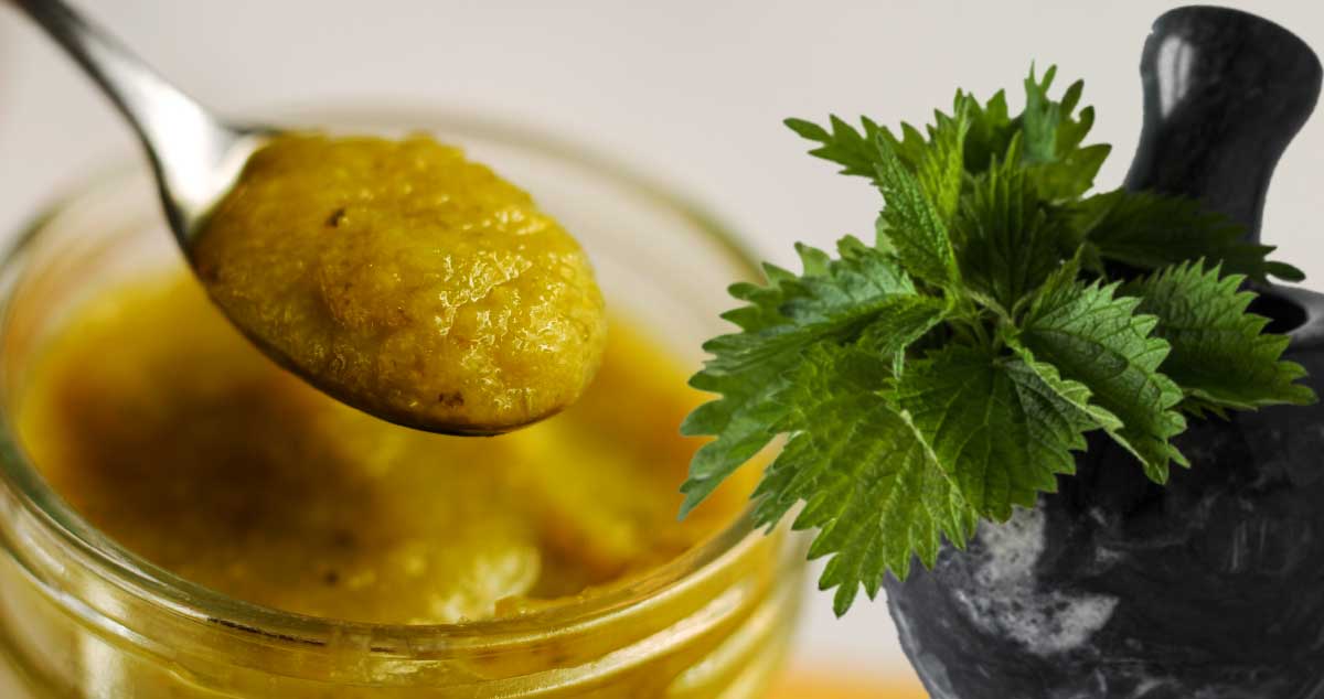 SIROP de URIZCĂ cu MIERE - Ajută în REUMATISM